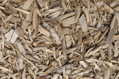 biomass boilers Llanmiloe